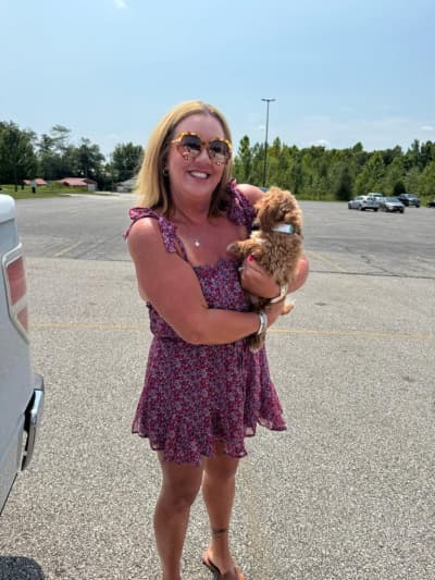 Dorothy, a Goldendoodle, Mini puppy from Pawrade