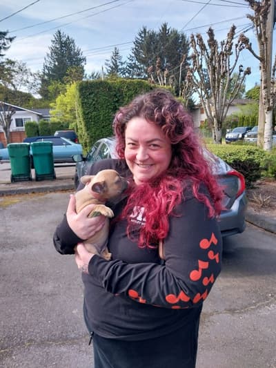 Daisy, a French Bulldog puppy from Pawrade