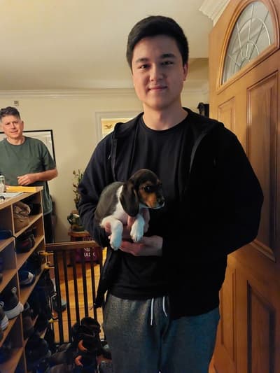 Skittles, a Beagle puppy from Pawrade