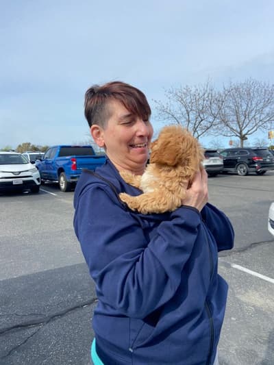Zoey, a Cavapoo puppy from Pawrade