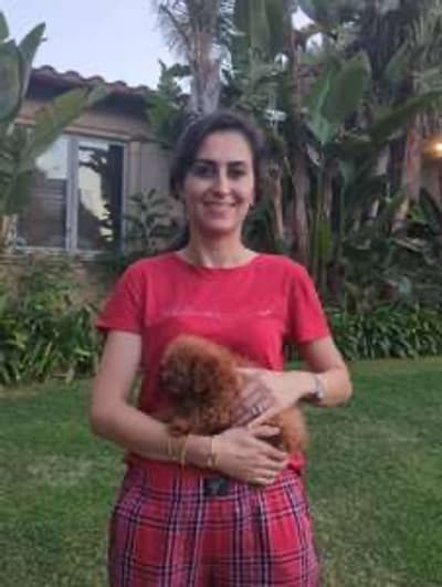 Joy, a Poodle, Miniature puppy from Pawrade