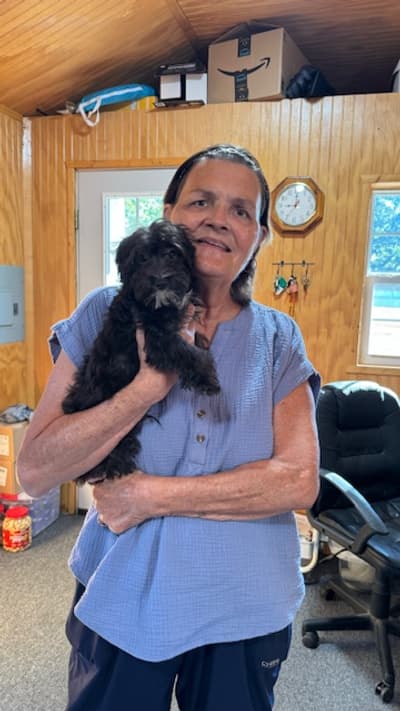 Luca, a Yorkiepoo - Yorkie Poo puppy from Pawrade