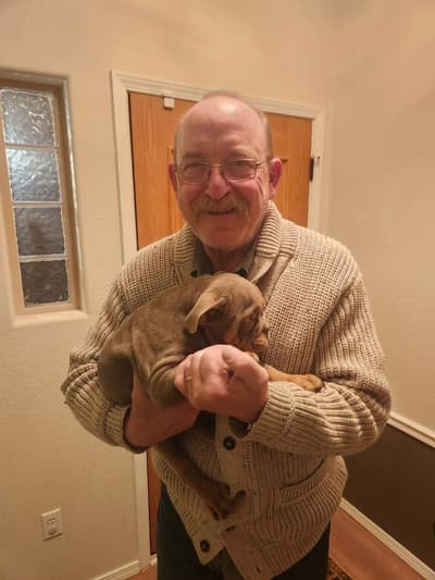 Balto, a English Bulldog puppy from Pawrade