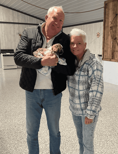 Starsky, a Shichon puppy from Pawrade