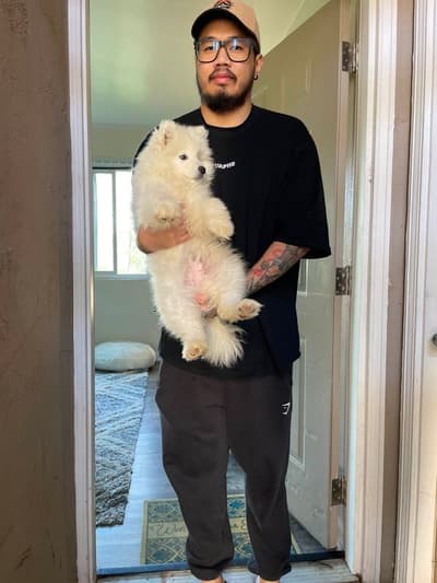Stacy, a Samoyed puppy from Pawrade