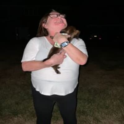 Buttercup, a Dachshund puppy from Pawrade