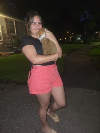 Dylan, a Corgi, Pembroke Welsh puppy from Pawrade