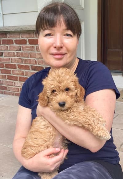 Moose, a Goldendoodle, Mini puppy from Pawrade