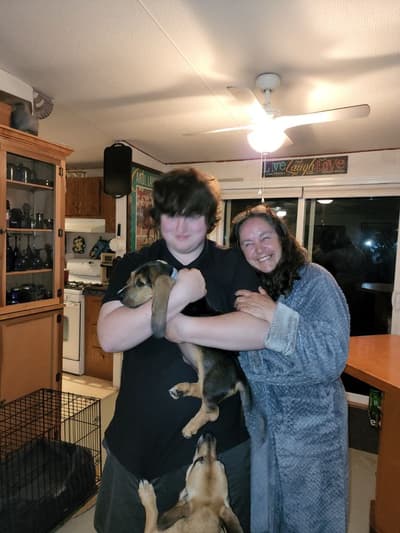 Randy, a Basset Hound puppy from Pawrade