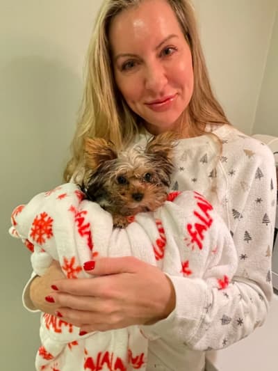 Tilly, a Yorkshire Terrier - Yorkie puppy from Pawrade