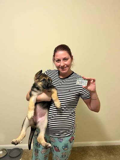 Valerie, a German Shepherd puppy from Pawrade