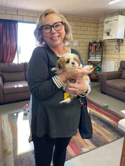 Lilo, a Shih Tzu puppy from Pawrade