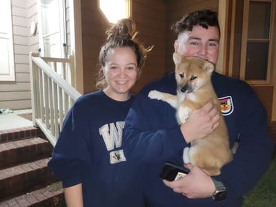 Haiku, a Shiba Inu puppy from Pawrade