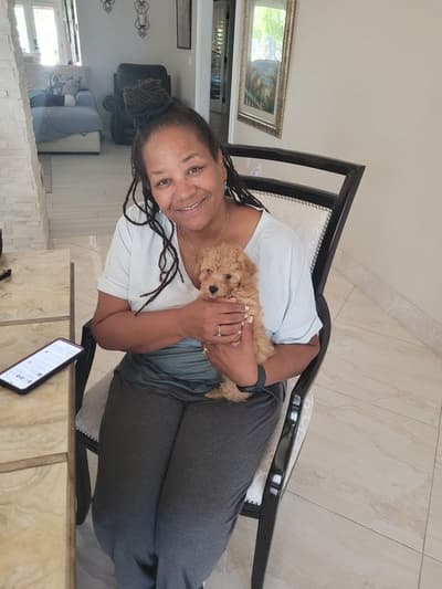 Mcgee, a Malti Poo - Maltipoo puppy from Pawrade