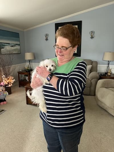 Lily Bell, a Maltese puppy from Pawrade