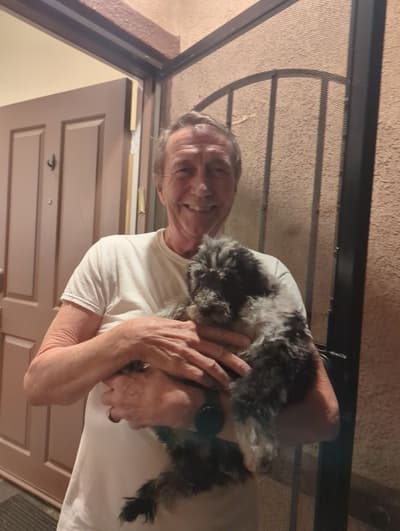 Kaylee, a Poodle, Standard puppy from Pawrade