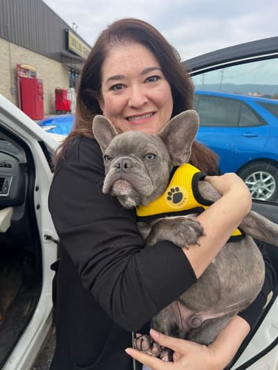Lucas, a French Bulldog puppy from Pawrade