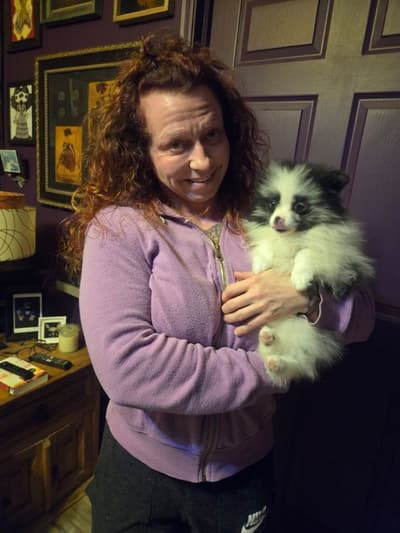 Mia, a Pomeranian puppy from Pawrade