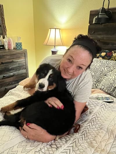 Calamity, a Bernese Mountain Dog puppy from Pawrade