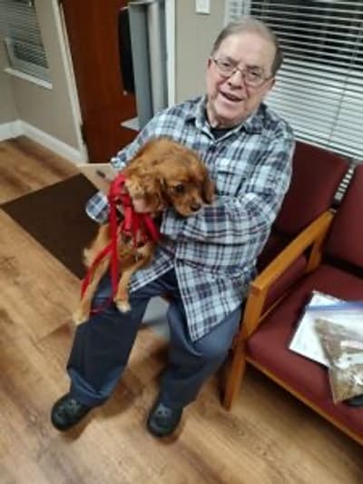 Lawrence, a Cavalier King Charles Spaniel puppy from Pawrade