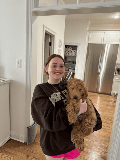 Ainsley, a Goldendoodle puppy from Pawrade