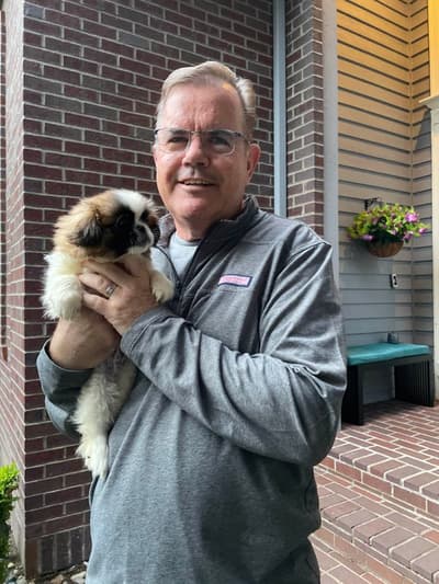 Edison, a Pekingese puppy from Pawrade