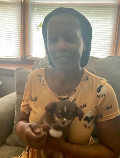 Jensen, a Chihuahua puppy from Pawrade