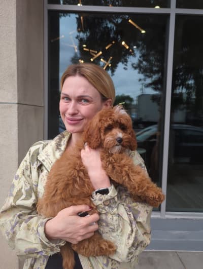 Cassie, a Cavapoo puppy from Pawrade