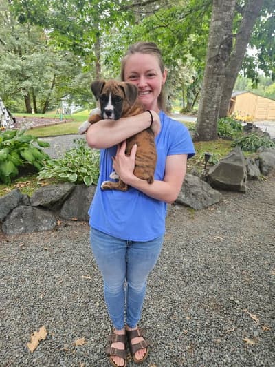 Watson, a Boxer puppy from Pawrade