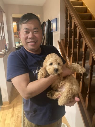 Chipper, a Cockapoo puppy from Pawrade