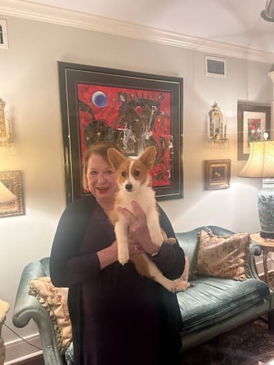 Kennedy, a Corgi, Pembroke Welsh puppy from Pawrade