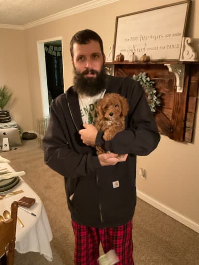 Nash, a Cavapoo puppy from Pawrade