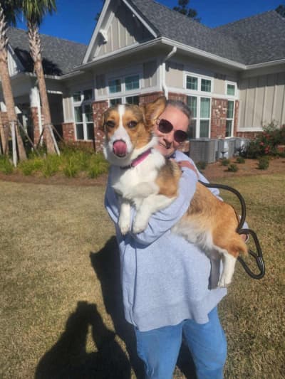 Koda, a Corgi, Pembroke Welsh puppy from Pawrade