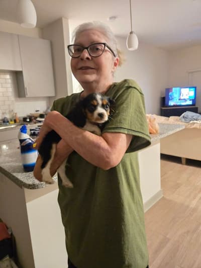 Leigh, a Cavalier King Charles Spaniel puppy from Pawrade