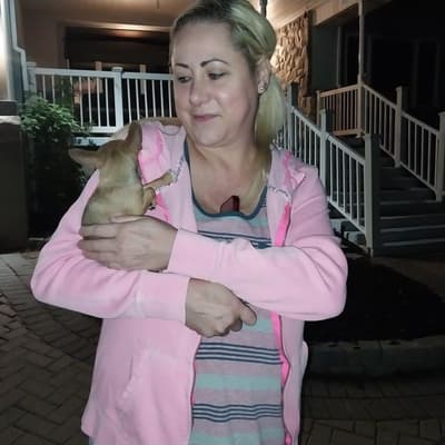 Hillary, a Chihuahua puppy from Pawrade