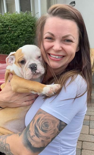 Miss Bree, a English Bulldog puppy from Pawrade
