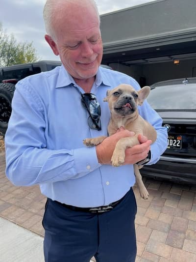 Rainbow, a French Bulldog puppy from Pawrade