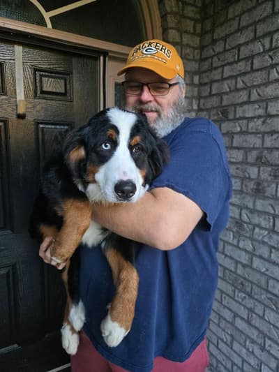 Georgia, a Bernese Mountain Dog puppy from Pawrade