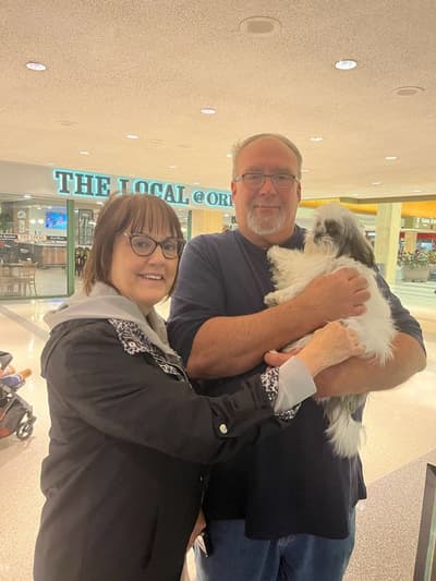 Brinley, a Shih Tzu puppy from Pawrade