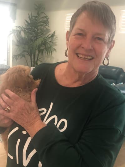 Sunny, a Shih-Poo - Shihpoo puppy from Pawrade