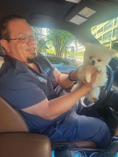 Vera, a Pomeranian puppy from Pawrade