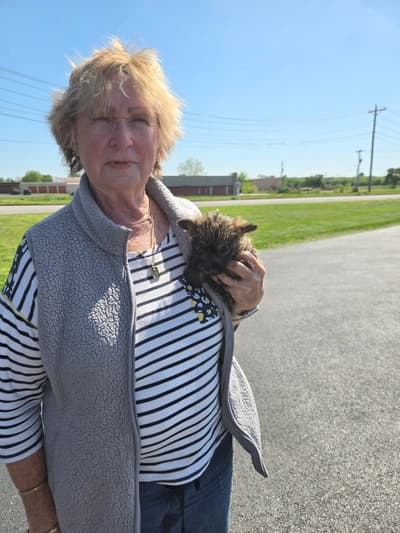 Emma, a Cairn Terrier puppy from Pawrade