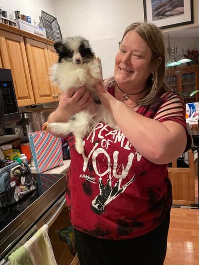 Polly, a Pomeranian puppy from Pawrade