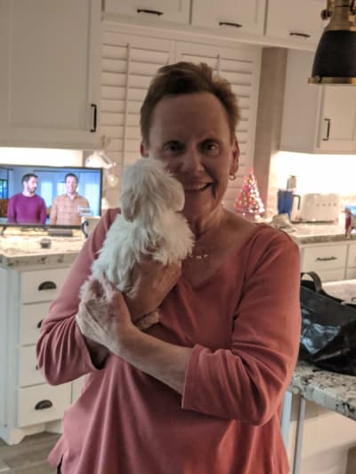 Darla, a Maltese puppy from Pawrade