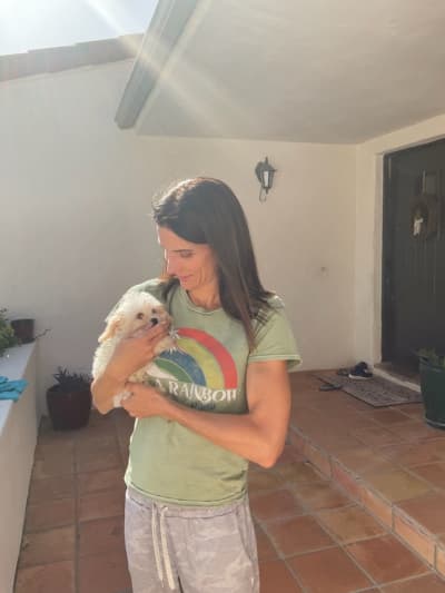 Connor, a Cavachon puppy from Pawrade