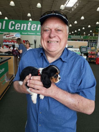 Trinity, a Cavalier King Charles Spaniel puppy from Pawrade