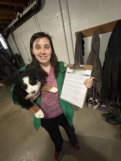 Ava, a Bernese Mountain Dog puppy from Pawrade