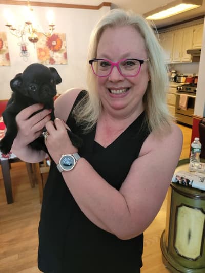 Ladybug, a Pug puppy from Pawrade