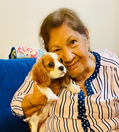 Jocelynn, a Cavalier King Charles Spaniel puppy from Pawrade
