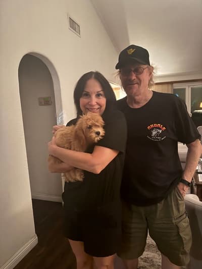 Wolfgang, a Cavapoo puppy from Pawrade